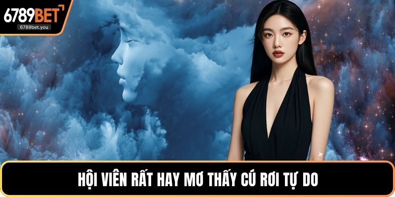 Hội viên rất hay mơ thấy cú rơi tự do